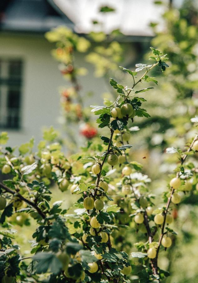 Apartmany Rajschl - Železná Ruda Buitenkant foto